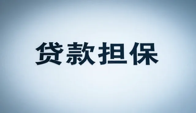贷款担保中的风险控制要点及应对策略